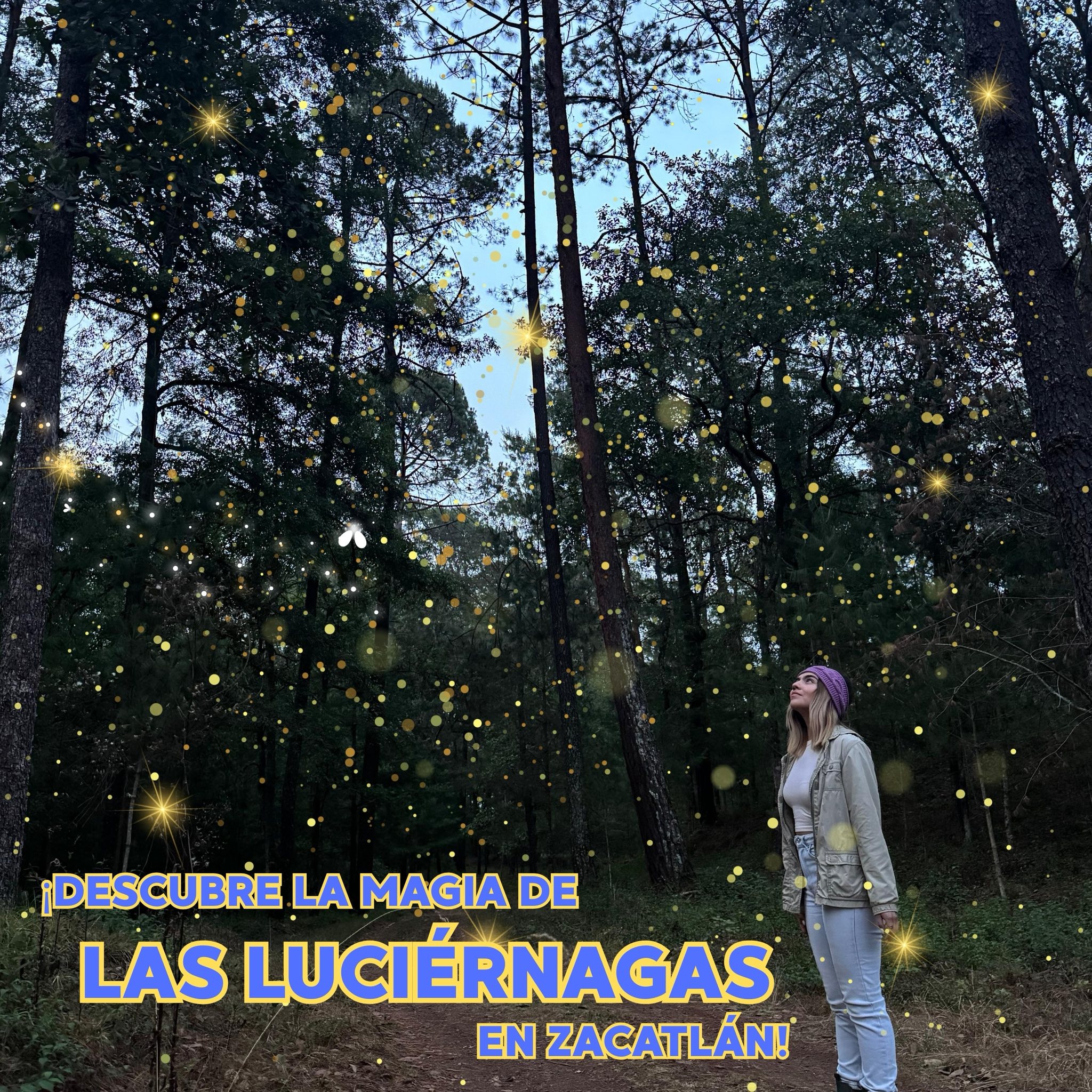 Luciernagas 